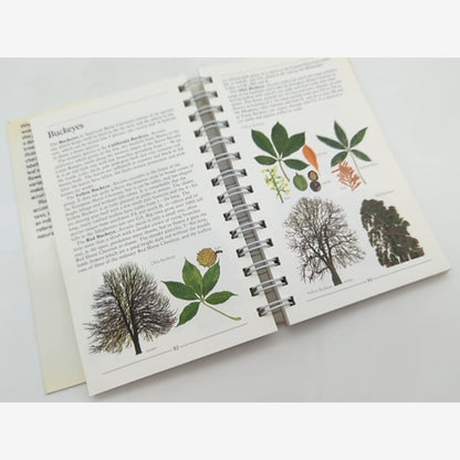 Trees (american Nature Guides) by Alan Mitchell (Paperback, 1990) Botany — photo 5
