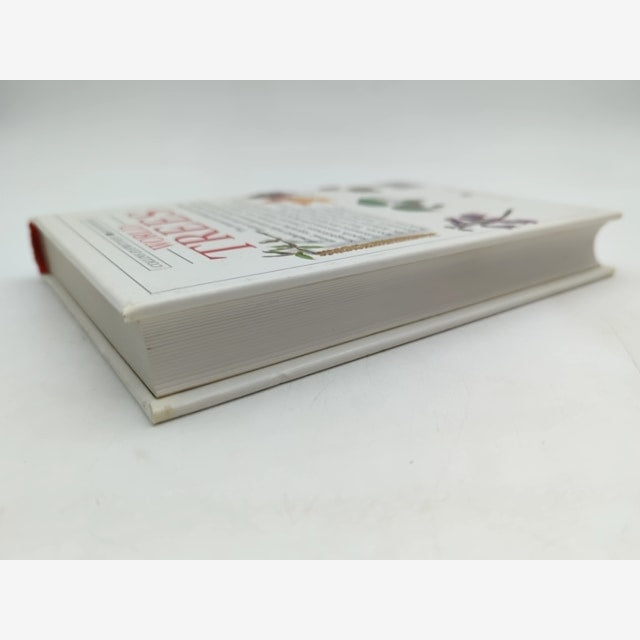 Trees by Allen J. Coombes (Hardcover, 1992) Botany, Plant Species Guide — photo 2