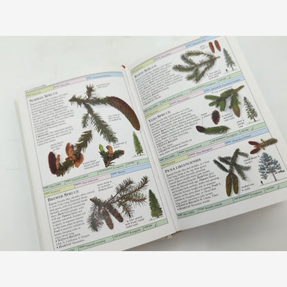 Trees by Allen J. Coombes (Hardcover, 1992) Botany, Plant Species Guide — photo 3