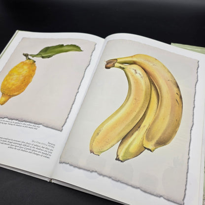 Watercolour Fruit & Vegetable Portraits — photo 7