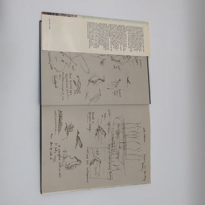 Wild Australia: A View Of Birds And Men by Douglas Dorward, John Olsen Paintings by Douglas Dorward — photo 5