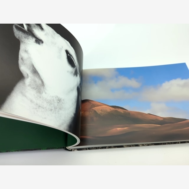 Wild Things by Jaschinski (Hardcover, 1999) Animal Photography Coffee Table Book — photo 4