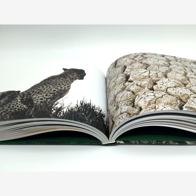 Wild Things by Jaschinski (Hardcover, 1999) Animal Photography Coffee Table Book — photo 6