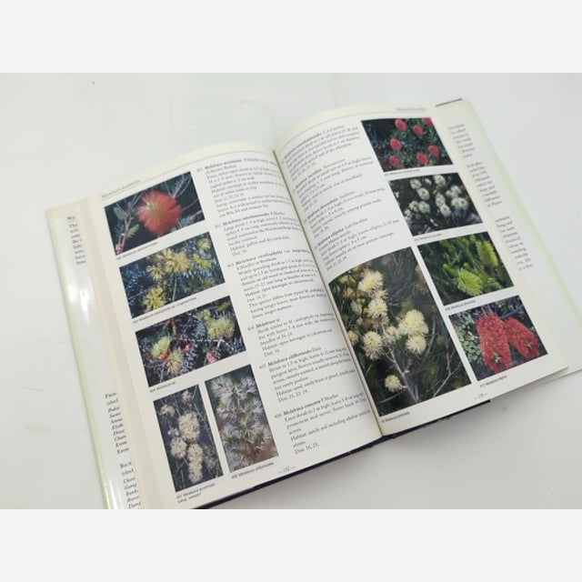 Wildflowers Of Southern Western Australia, Bruce Alexander Fuhrer Margaret G. C — photo 4