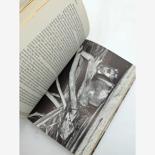 Wildlife Of Eastern Australia by Stanley Breeden, Wildlife Illustrated — photo 2