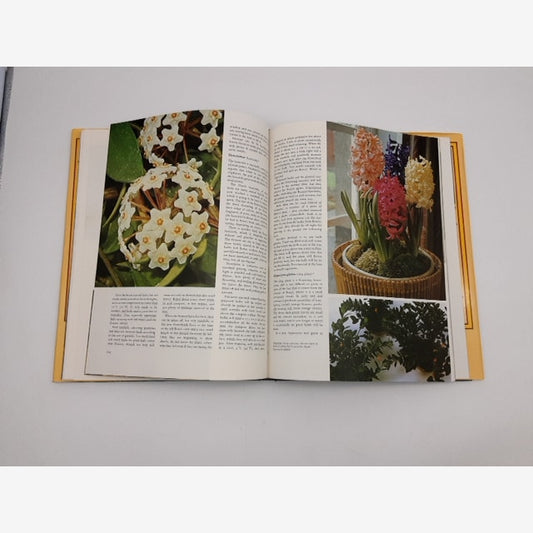 Woman's Day All Colour Guide To Houseplants by Shirley Stackhouse, House Plants by Shirley Stackhouse — photo 2