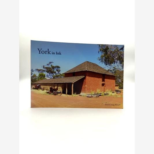 York In Ink by Arlene Puddy Beatty (Paperback, 2016) Signed by Arlene Puddy Beatty book cover